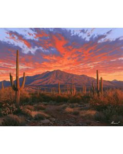 SONORA SAGUARO DESERT