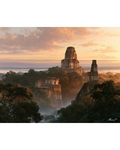 TIKAL JUNGLE DAWN