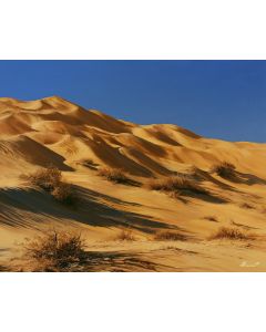 MEDANOS DE CORO