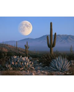 MEXICAN DESERT MOON