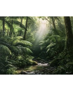 EL YUNQUE RAINFOREST
