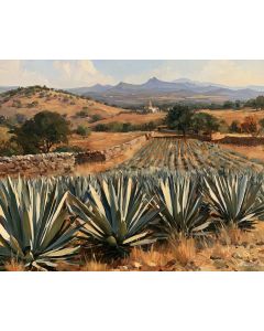 HIDALGO MAGUEY FIELDS