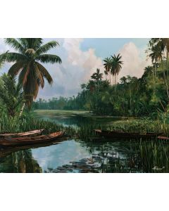 TABASCO WETLAND CANOES
