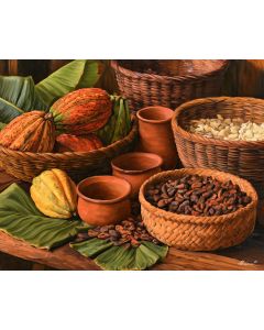 HONDURAN CACAO HARVEST