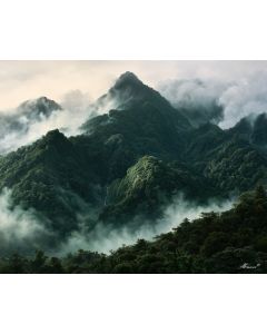 PICO BONITO RAINFOREST