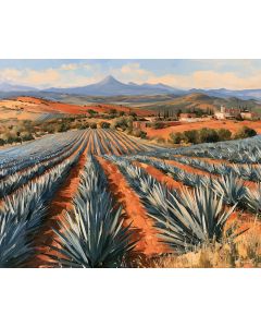 JALISCO BLUE AGAVE FIELDS