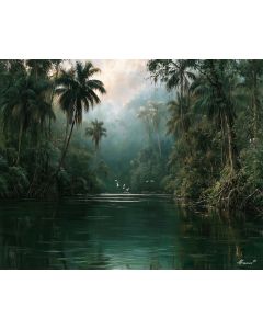 RIO SAN JUAN JUNGLE