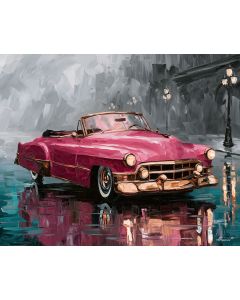 ROSE PINK CONVERTIBLE BW