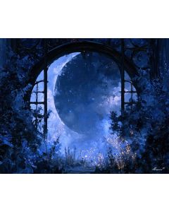 STARRY WINDOW SAVES BLUEEMBER