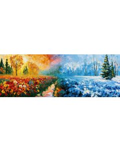 MEADOW TO SNOW