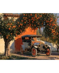 ORANGE GROVE MOTOR