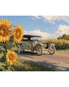 SUNFLOWER TURNPIKE