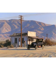 THE DESERT STATION