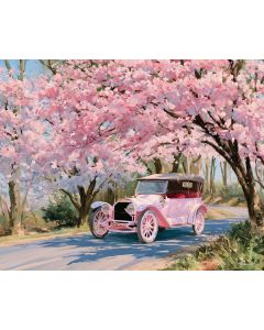 THE CHERRY ROAD