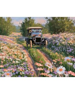 MEADOW RUN