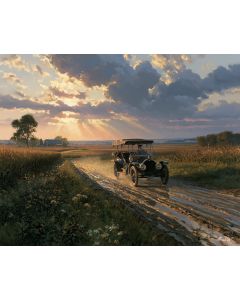 FIELD TRACK AFTER RAIN