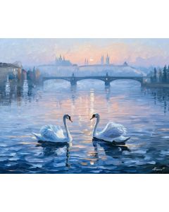 VLTAVA SWANS AT DAWN