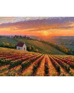 MORAVIAN VINEYARD SUNSET