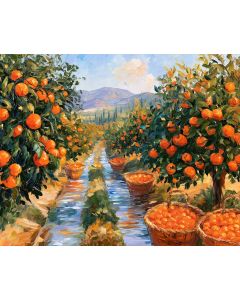 TZITZIKAS ORANGE GROVE