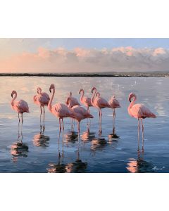 LARNACA SALT LAKE FLAMINGOS