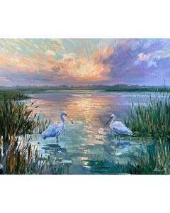 KOPACKI RIT WETLAND BIRDS