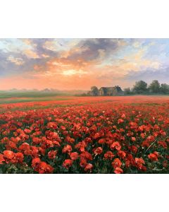 YPRES POPPY FIELDS