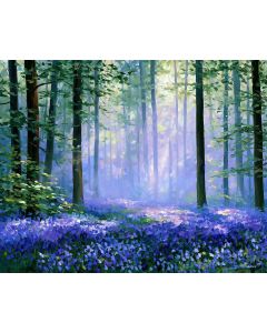 HALLERBOS BLUEBELL FOREST