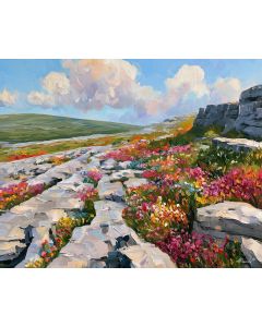 BURREN LIMESTONE BLOOMS