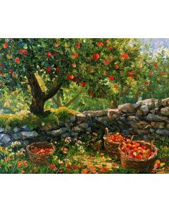 IRISH APPLE ORCHARD