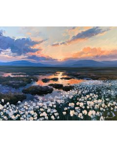 IRISH BOG COTTON