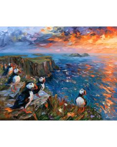 SCOTTISH PUFFIN CLIFFS