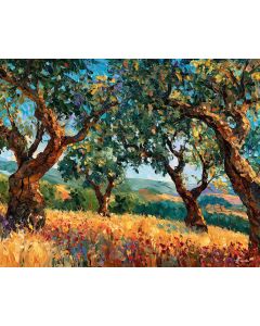 ALENTEJO CORK GROVE