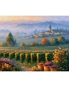 CHAMPAGNE VINEYARD MORNING