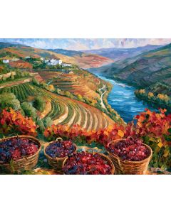 DOURO VALLEY HARVEST