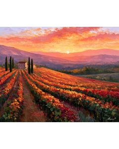 RIOJA VINEYARD SUNSET