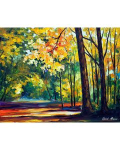 MORNING FOREST LIGHT