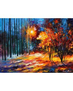 COLORFUL SHADOWS ON SNOW