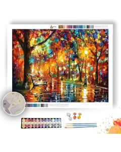 COLORFUL NIGHT - Paint By Numbers Full Kit