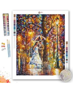 DREAM WEDDING - Paint By Numbers Full Kit