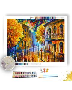 ETUDE IN RED LIGHT - Paint By Numbers Full Kit