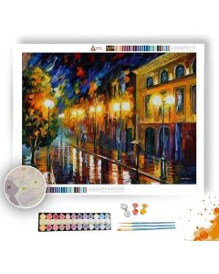 FASCINATION OF THE NIGHT - Paint By Numbers Full Kit