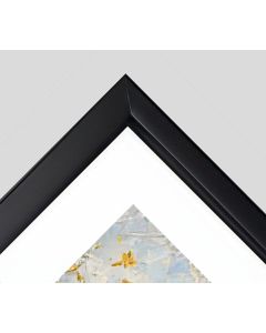 Frame - BLACK with a wide white mat 