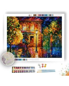NIGHT OF EXPECTATIONS - Paint By Numbers Full Kit