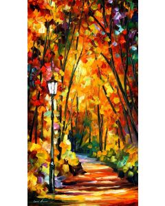 LIGHT OF THE FOREST