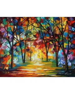 COLORFUL PATH - FRAMED