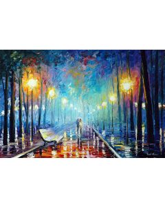 MISTY NIGHT PARK