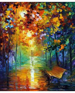 COLORFUL MISTY PARK