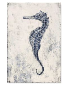 Seahorse Serenade