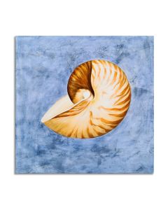 Deco Seashell Splendor