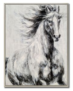 Ivory Illusion